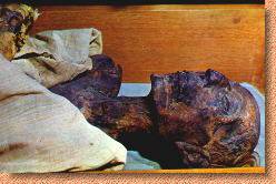 Mumie Ramses II.